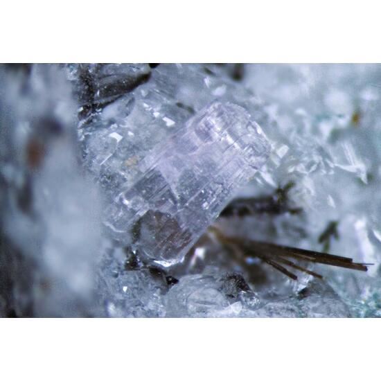 Fluorapatite Galena & Tuperssuatsiaite