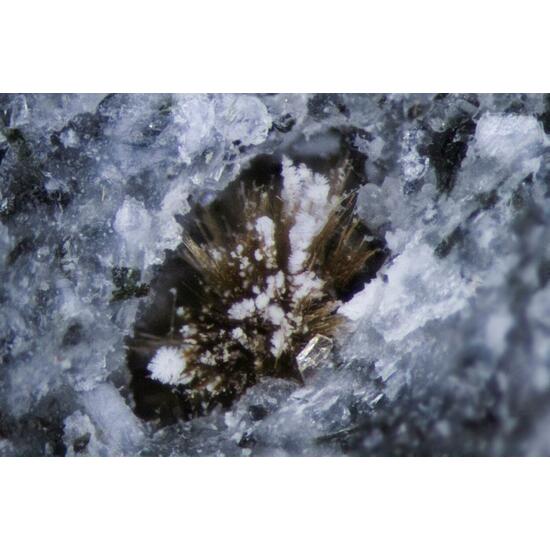 Fluorite & Tuperssuatsiaite