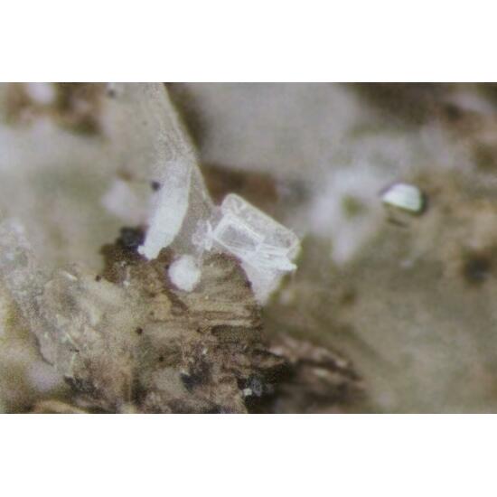 Peatite-(Y) & Ramikite-(Y)