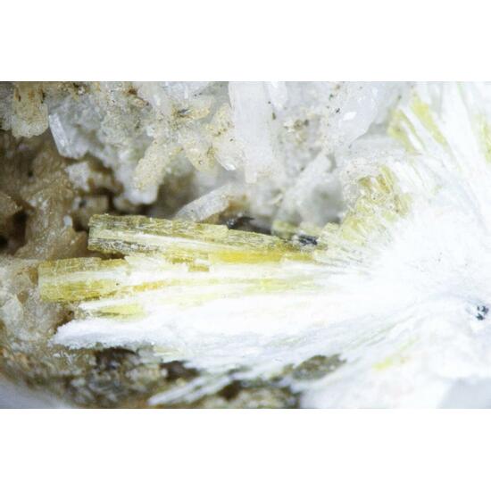 Thomasclarkite-(Y) & Adamsite-(Y)