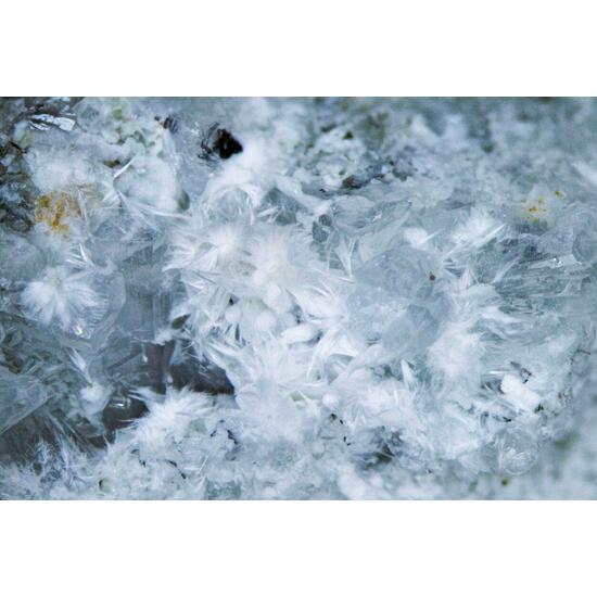 Pectolite & Neptunite