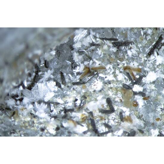 Unnamed (Sazhinite-related mineral I) & Pectolite