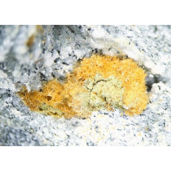 Unnamed (Fe-analogue of Zakharovite) & Tuperssuatsiaite