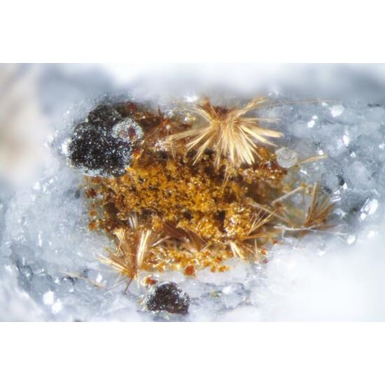 Fluorite Tuperssuatsiaite & Unnamed (Fe-analogue of Zakharovite)