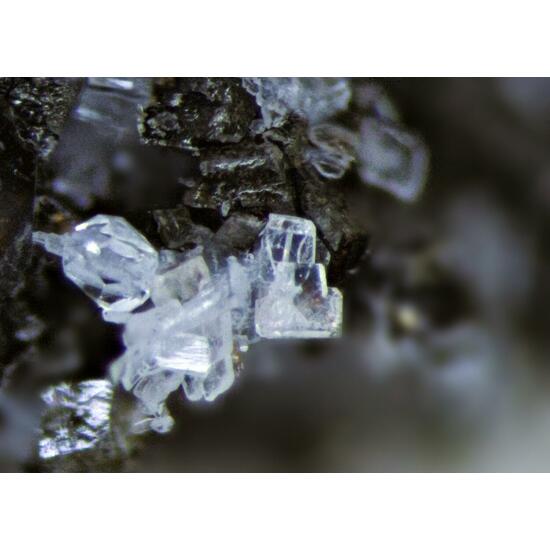 Peatite-(Y) Ramikite-(Y) & Sabinaite