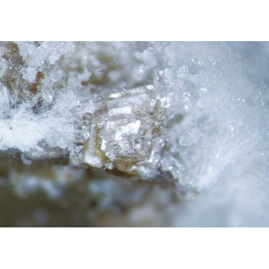 Clinoptilolite-Na & Mordenite