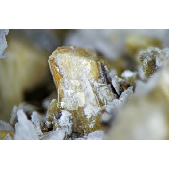 Petersenite-(Ce) Psm & Sabinaite