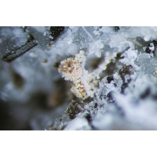 Monazite Fluorite & Manganoneptunite