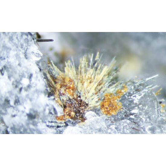 Arisite Ferroceladonite Tuperssuatsiaite & Zakharovite