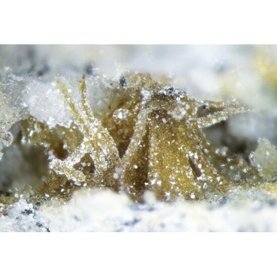 Fluorite & Tuperssuatsiaite