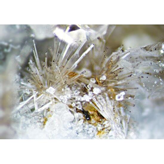 Lorenzenite & Fluorite