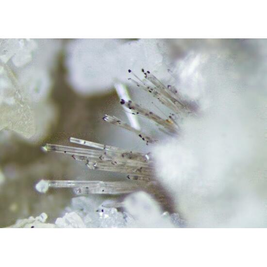 Lorenzenite & Fluorite