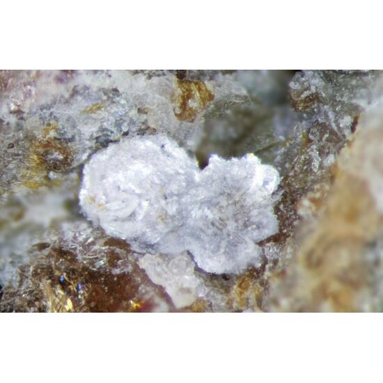 Arisite-(Ce) & Eudialyte