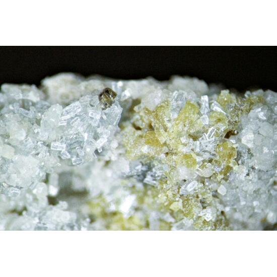 Bastnäsite & Fluorapatite