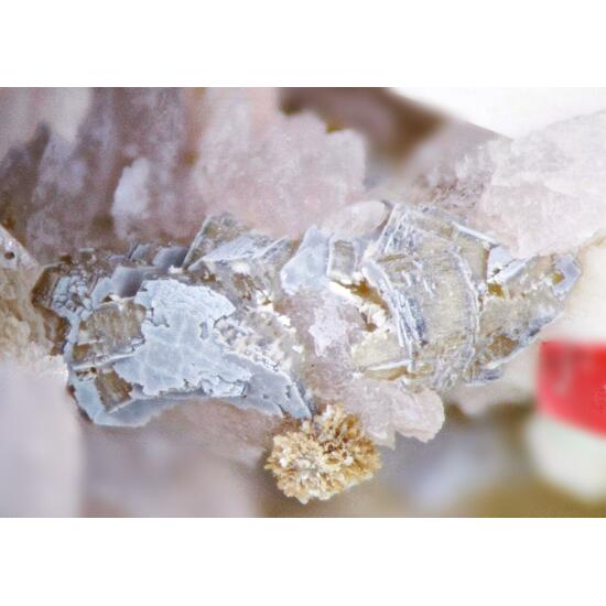 Nenadkevichite Sérandite & Albite