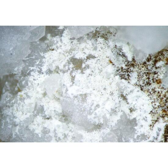 Thorbastnäsite & Analcime