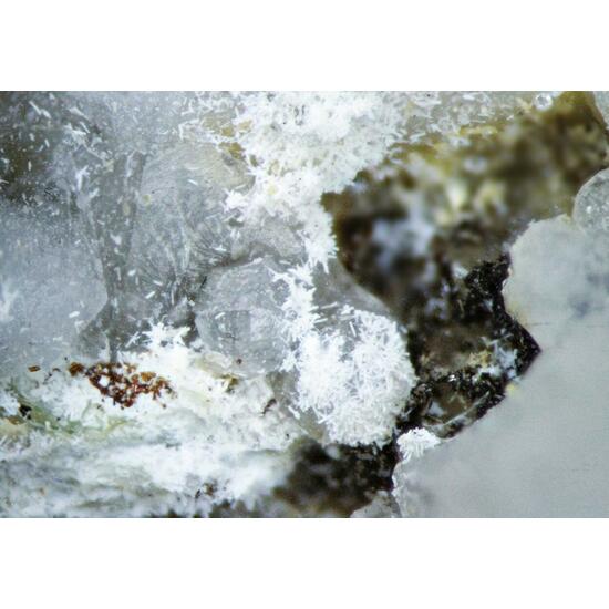 Thorbastnäsite & Analcime