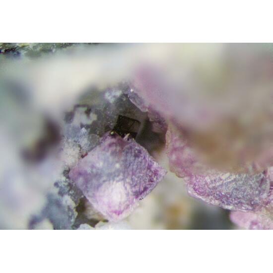 Fluorite & Neptunite
