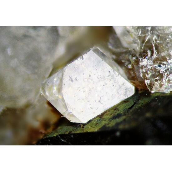 Whitlockite