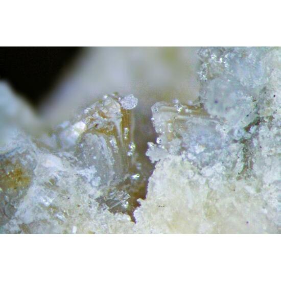 Clinoptilolite-Na & Epistolite