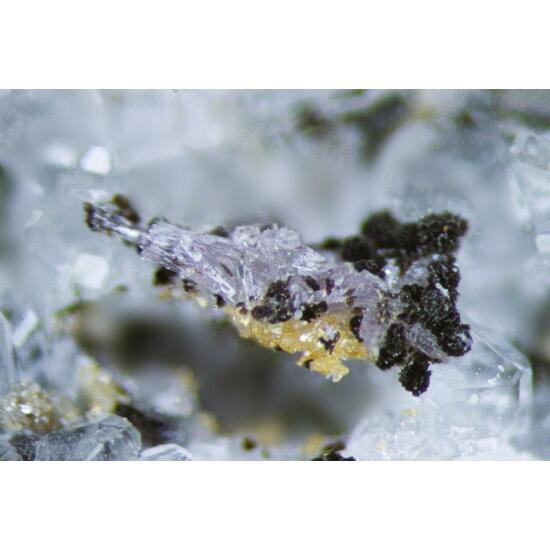 Fluorapatite & Labuntsovite