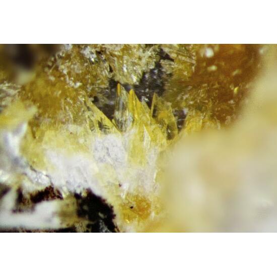 Stewartite & Laueite