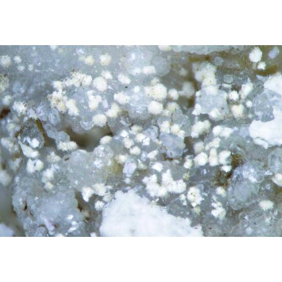 Franconite & Analcime