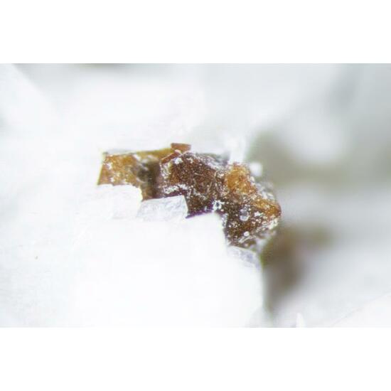 Pyrochlore Polylithionite Albite & Aegirine