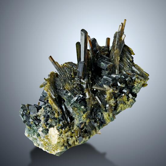 Epidote & Augite