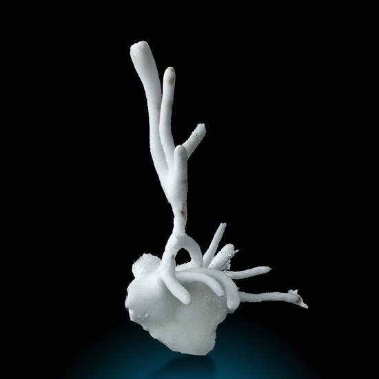 Aragonite Var Flos Ferri