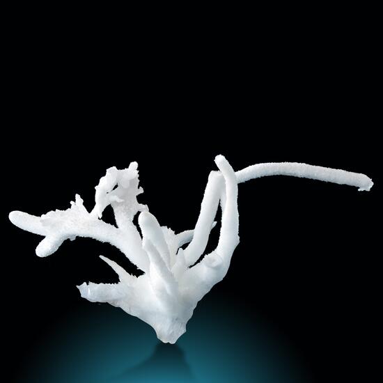 Aragonite Var Flos Ferri