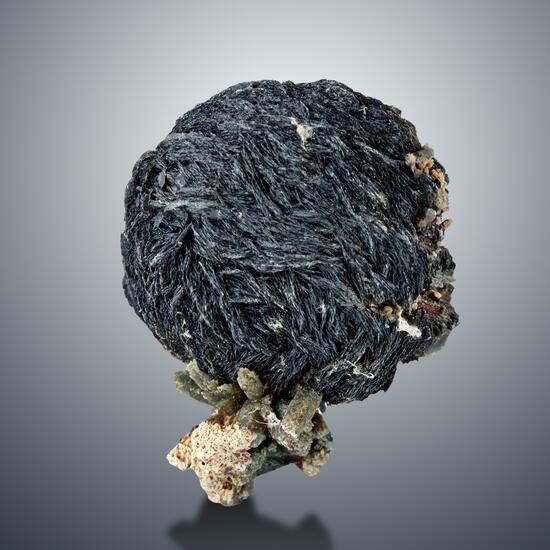 Iron Rose With Prase