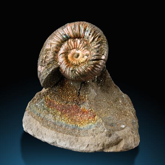 Fossil