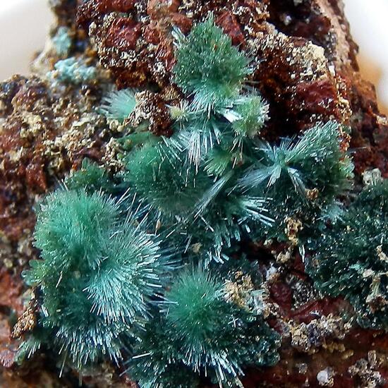 Olivenite