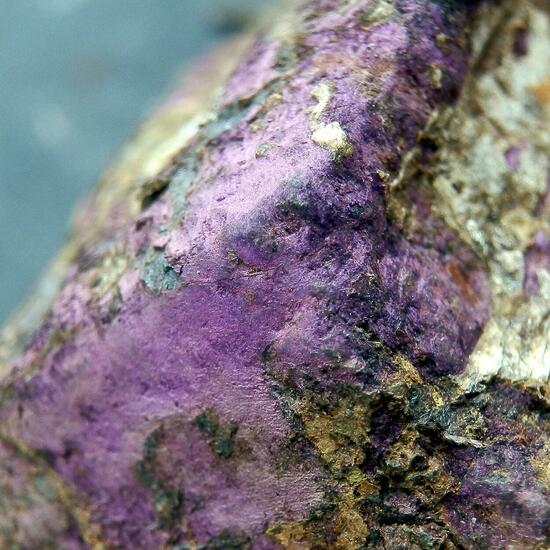 Purpurite