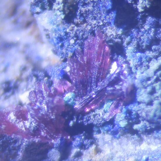 Erythrite