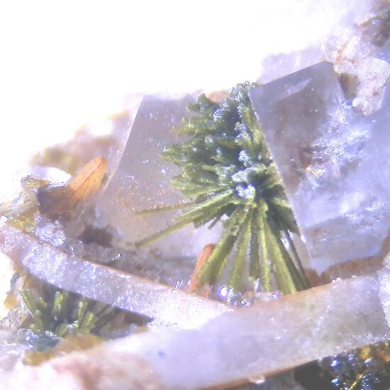 Olivenite & Bariopharmacosiderite