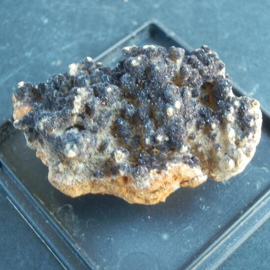 Plattnerite