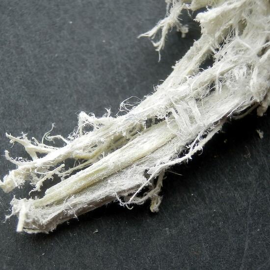 Asbestos