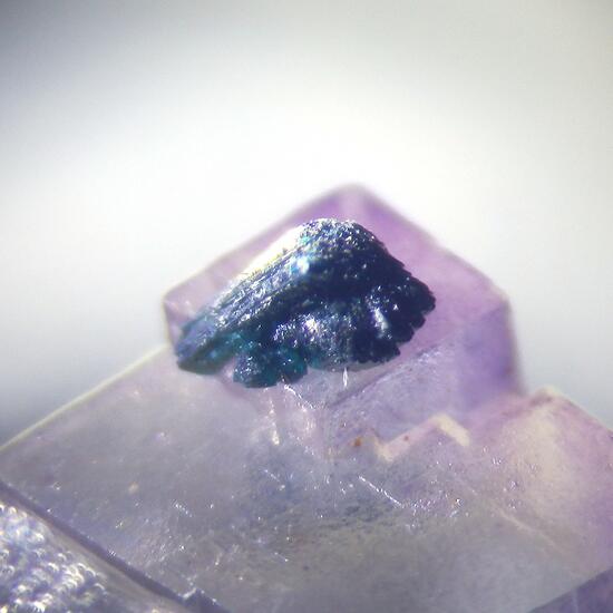 Clinoclase & Fluorite