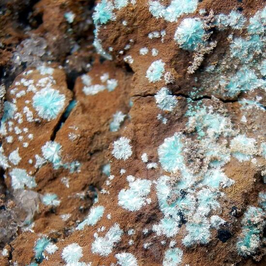 Aurichalcite