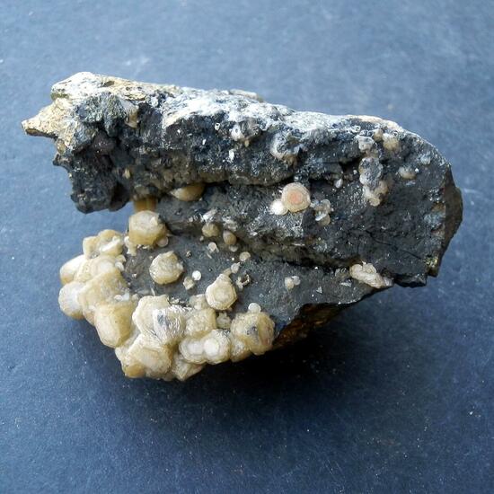 Siderite & Pyrite & Wolframite