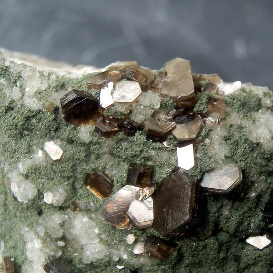 Muscovite