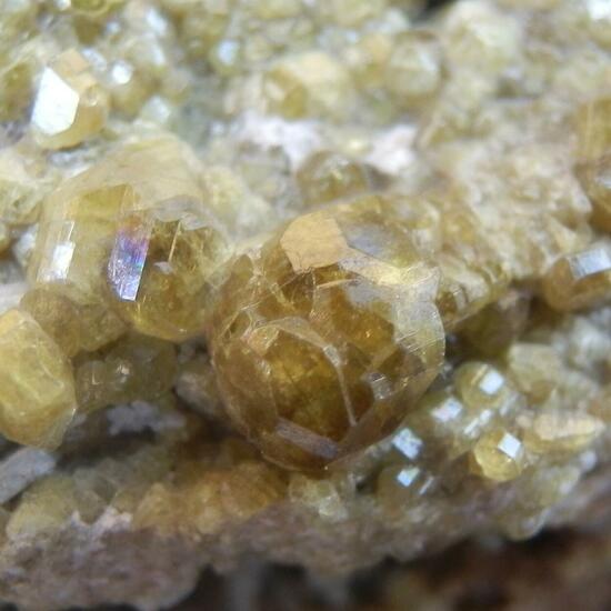 Epidote & Fassaite & Garnet