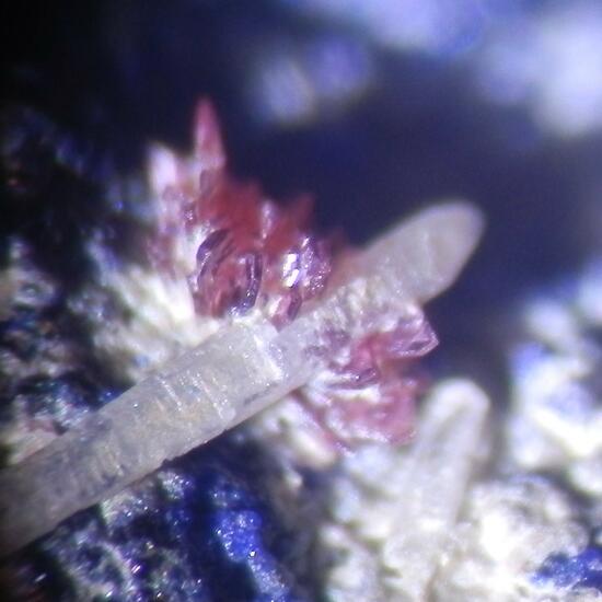 Erythrite & Azurite & Cerussite