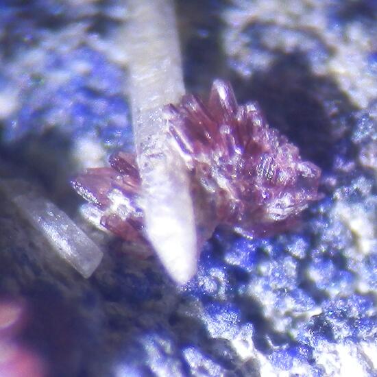 Erythrite & Azurite & Cerussite