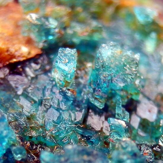Chalcanthite