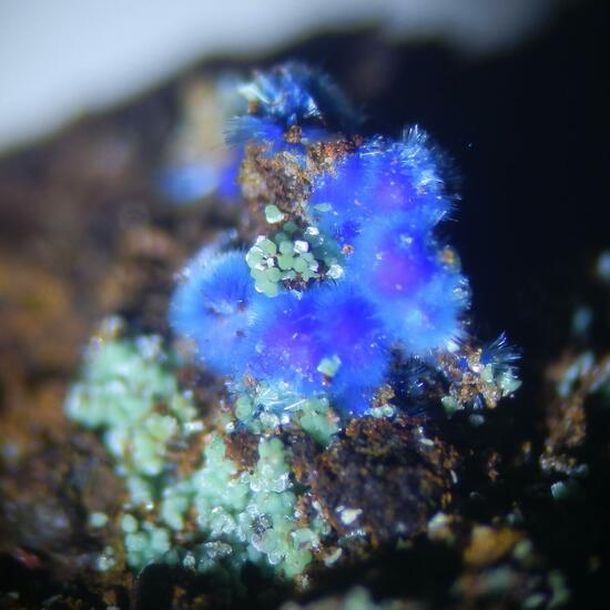 Carbonatecyanotrichite