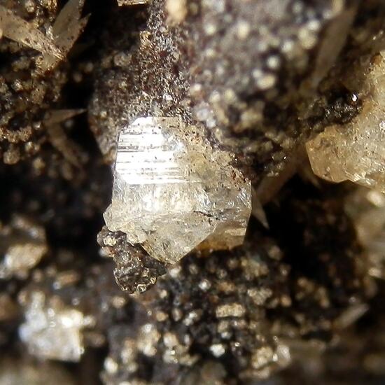 Phacolite & Calcite & Chabazite & Phillipsite