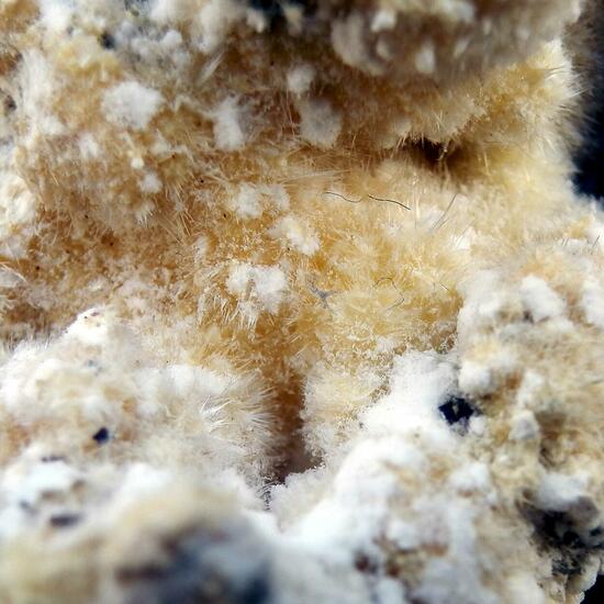 Alunogen & Halotrichite